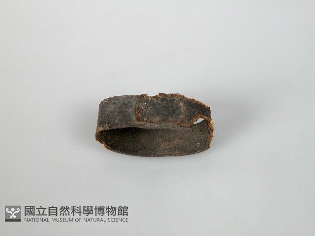 扣環藏品圖，第1張