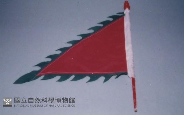 五封旗藏品圖，第1張