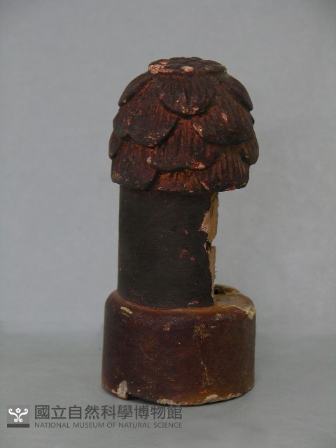 八角斗藏品圖，第51張
