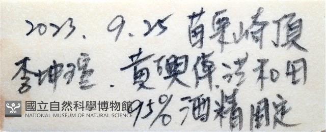 晶瑩蟳藏品圖，第20張