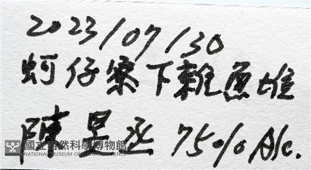 呂宋沐海壺藏品圖，第13張