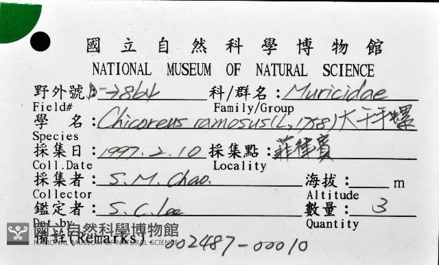 大千手螺藏品圖，第1張