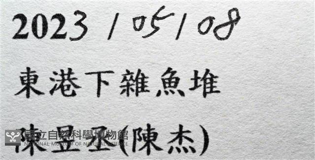 東方筐形蟹藏品圖，第13張
