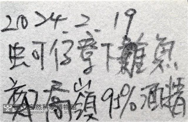 銀光梭子蟹藏品圖，第13張