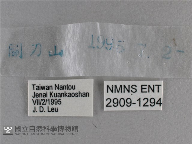 曲紋袖弄蝶藏品圖，第3張