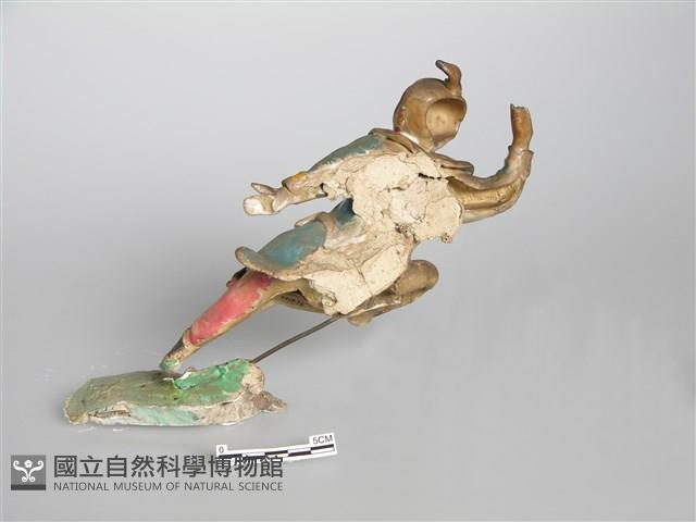 Accession Number:0000001436.0012 Collection Image, Figure 3, Total 4 Figures