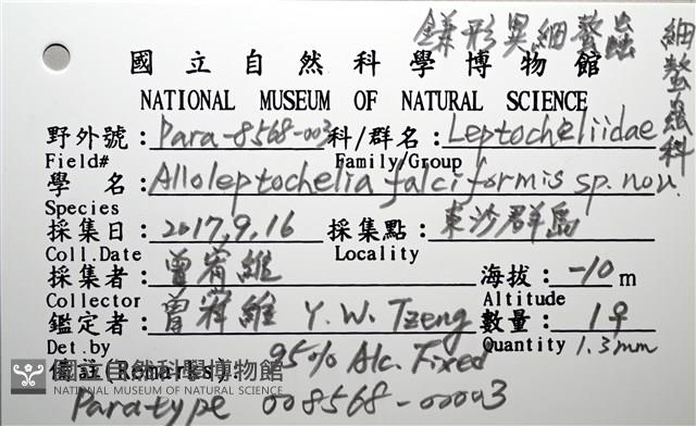 鐮形異細螯蟲藏品圖，第3張