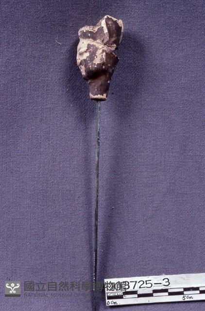 五營頭藏品圖，第3張