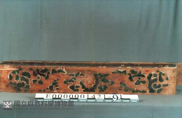 八角斗藏品圖，第1張