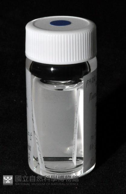 邦查奇異鞭尾蟲(新種)藏品圖，第3張