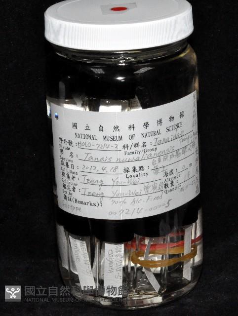 東界原足蟲藏品圖，第3張