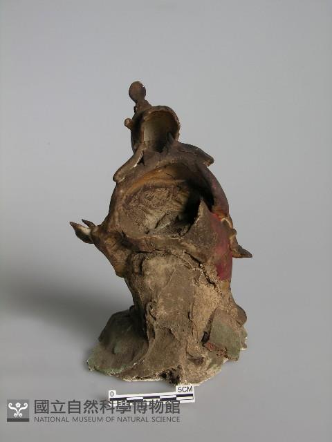 盧靈王招親藏品圖，第3張