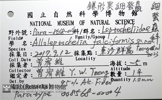 鐮形異細螯蟲藏品圖，第3張