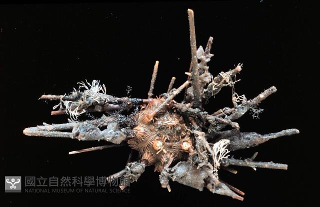 雙列角頭帕藏品圖，第3張