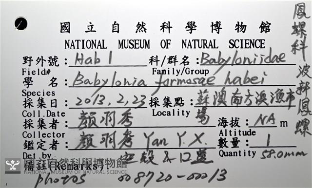 波部鳳螺藏品圖，第18張