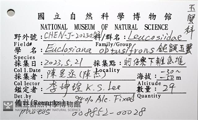鈍額玉蟹藏品圖，第18張