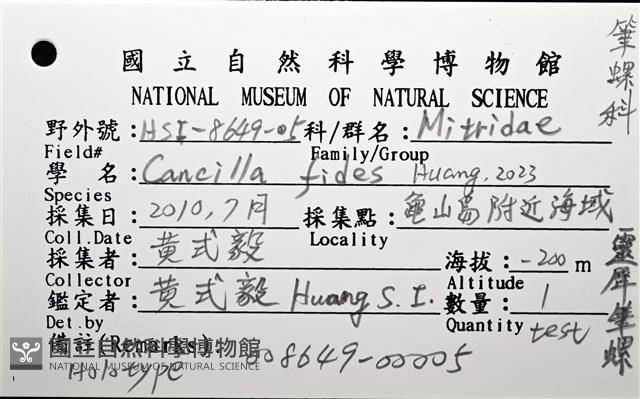 靈犀筆螺藏品圖，第18張