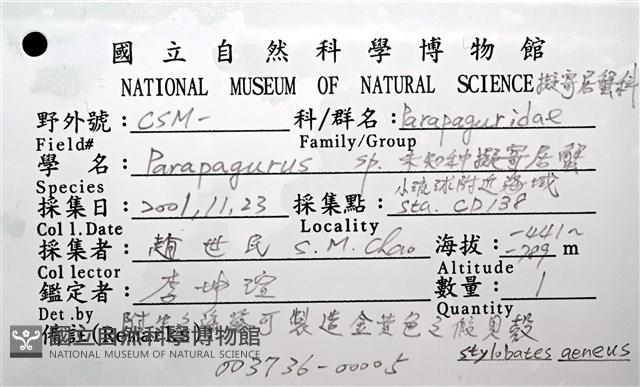 未知種擬寄居蟹藏品圖，第18張