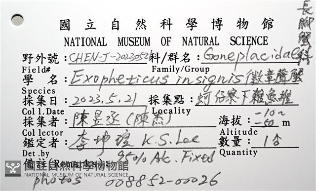 徽章聲蟹藏品圖，第18張