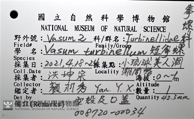 短拳螺藏品圖，第18張
