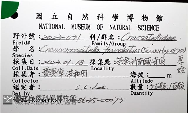 厚蛤藏品圖，第8張