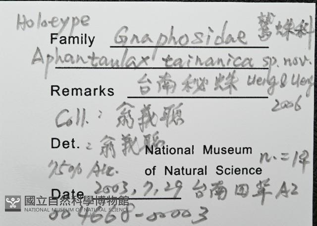 臺灣秘蛛藏品圖，第8張