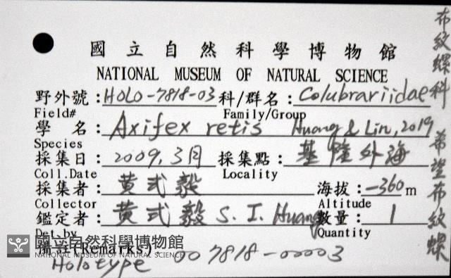希望布紋螺藏品圖，第8張