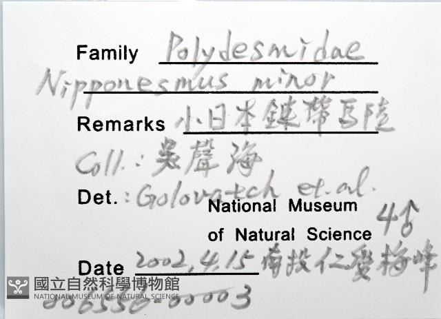 小日本鏈帶馬陸藏品圖，第8張