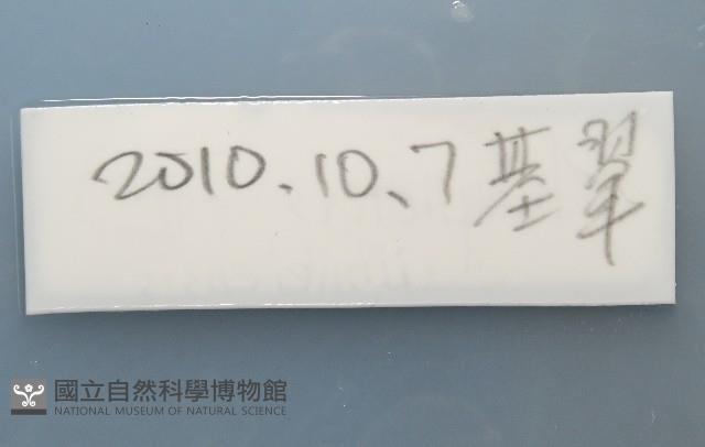 基翬闊沙蠶藏品圖，第8張