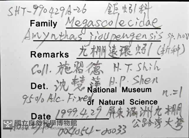 九棚遠環蚓(新種)藏品圖，第8張