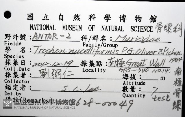 南極骨螺藏品圖，第8張