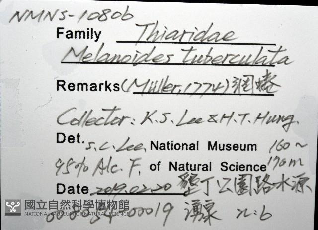 網蜷藏品圖，第8張