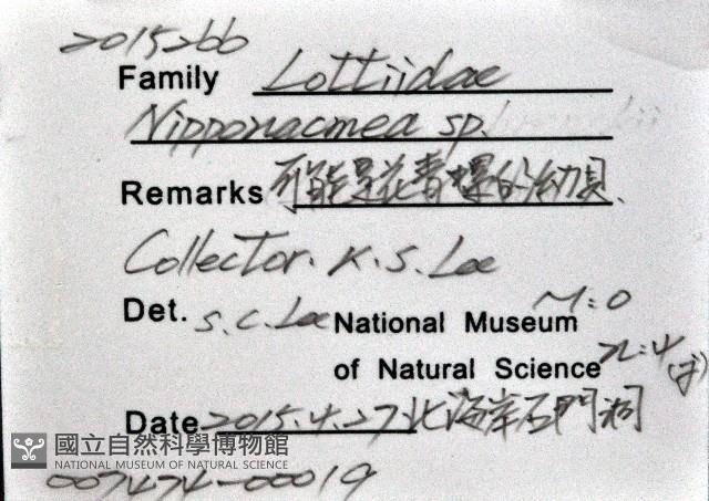 登錄號:007474-00019藏品圖，第8張