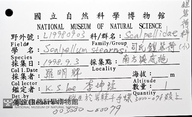 司氏鎧茗荷藏品圖，第8張