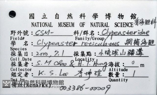 網楯海膽藏品圖，第8張