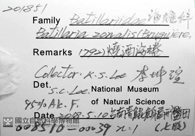 燒酒海蜷藏品圖，第8張