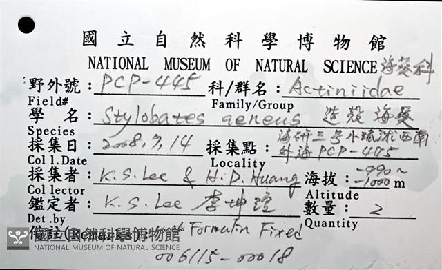 造殼海葵之一種藏品圖，第8張