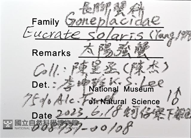 太陽強蟹藏品圖，第8張