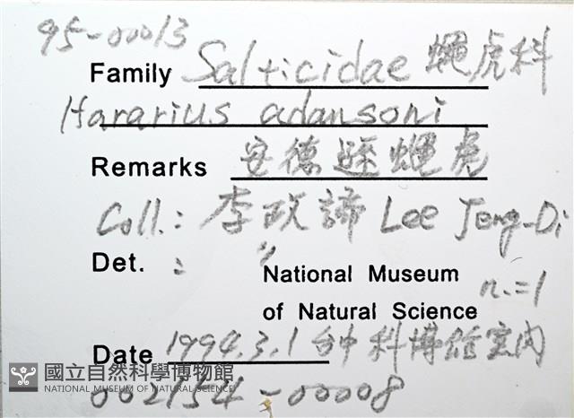 安德遜蠅虎藏品圖，第8張