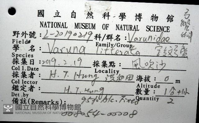 字紋弓蟹藏品圖，第8張