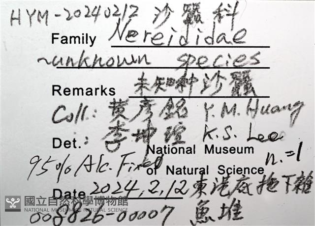 未知種沙蠶藏品圖，第8張