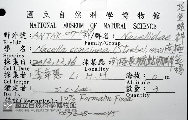 南極笠螺藏品圖，第8張