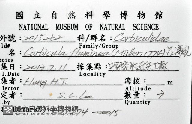 台灣蜆藏品圖，第8張