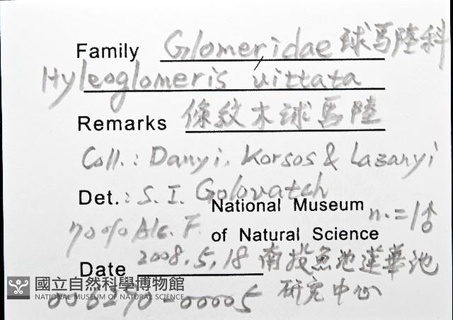 條紋木球馬陸藏品圖，第8張