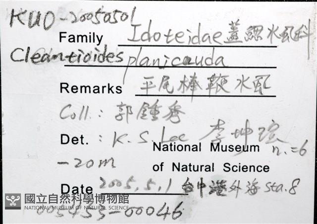 平尾棒鞭水虱藏品圖，第8張