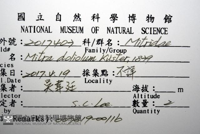 登錄號:007819-00116藏品圖，第8張