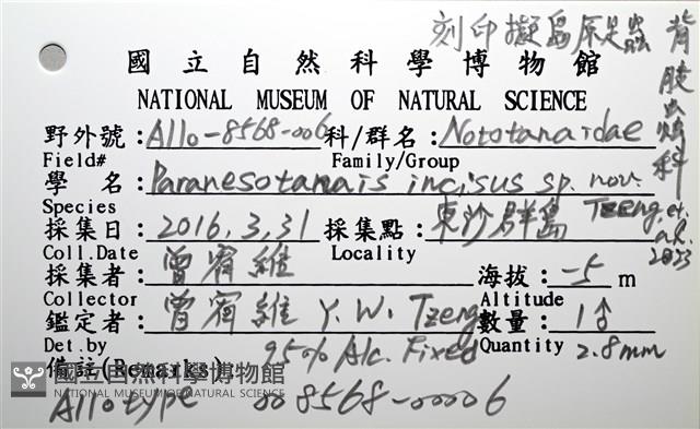 刻印擬島原足蟲藏品圖，第8張