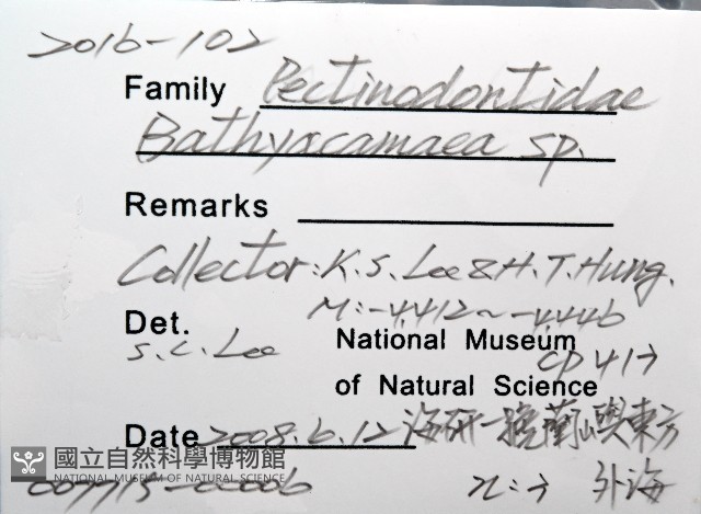 登錄號:007715-00006藏品圖，第8張