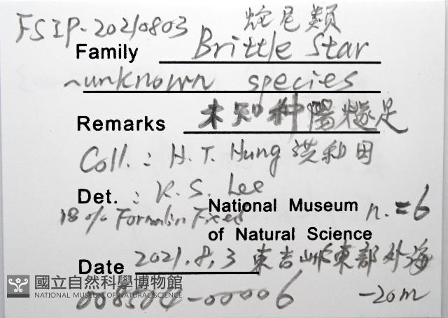 未知種陽燧足藏品圖，第8張