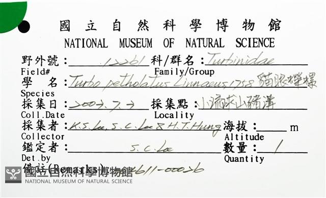 貓眼蠑螺藏品圖，第8張